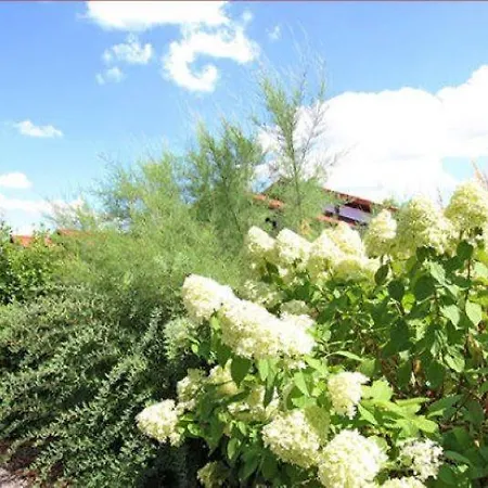 Godetied Vakantiehuis *