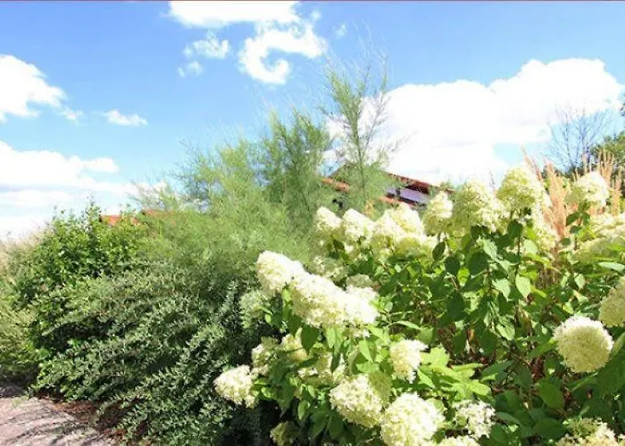 Godetied Casa de Férias *